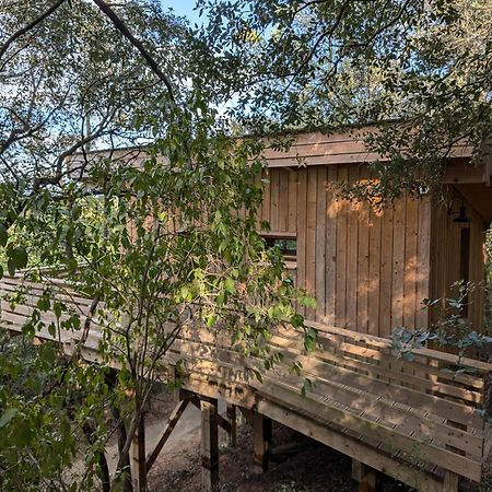 Les Cabanes Dans Les Bois Logis Hotel Villedubert Екстер'єр фото